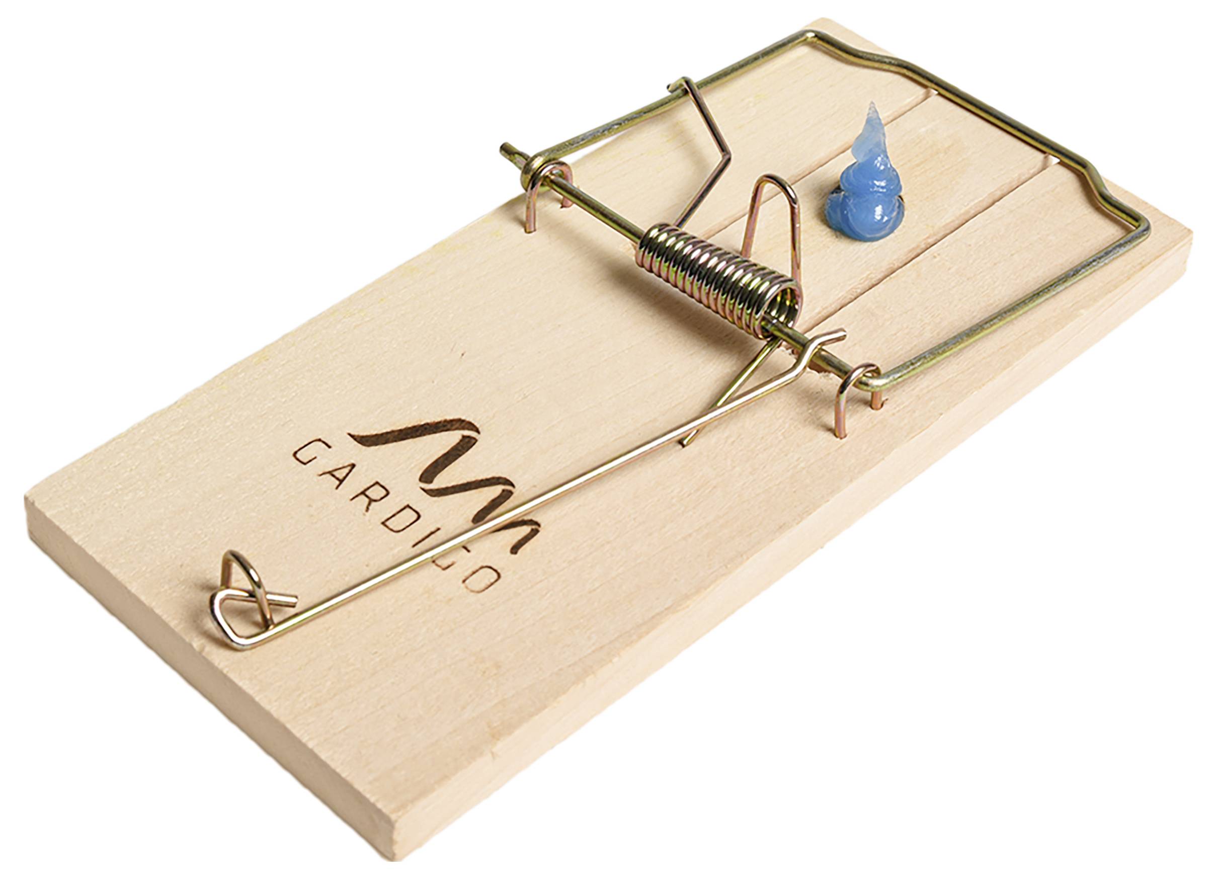Un piège à souris en bois avec un ressort métallique, chargé avec un petit appât bleu sur le bord.