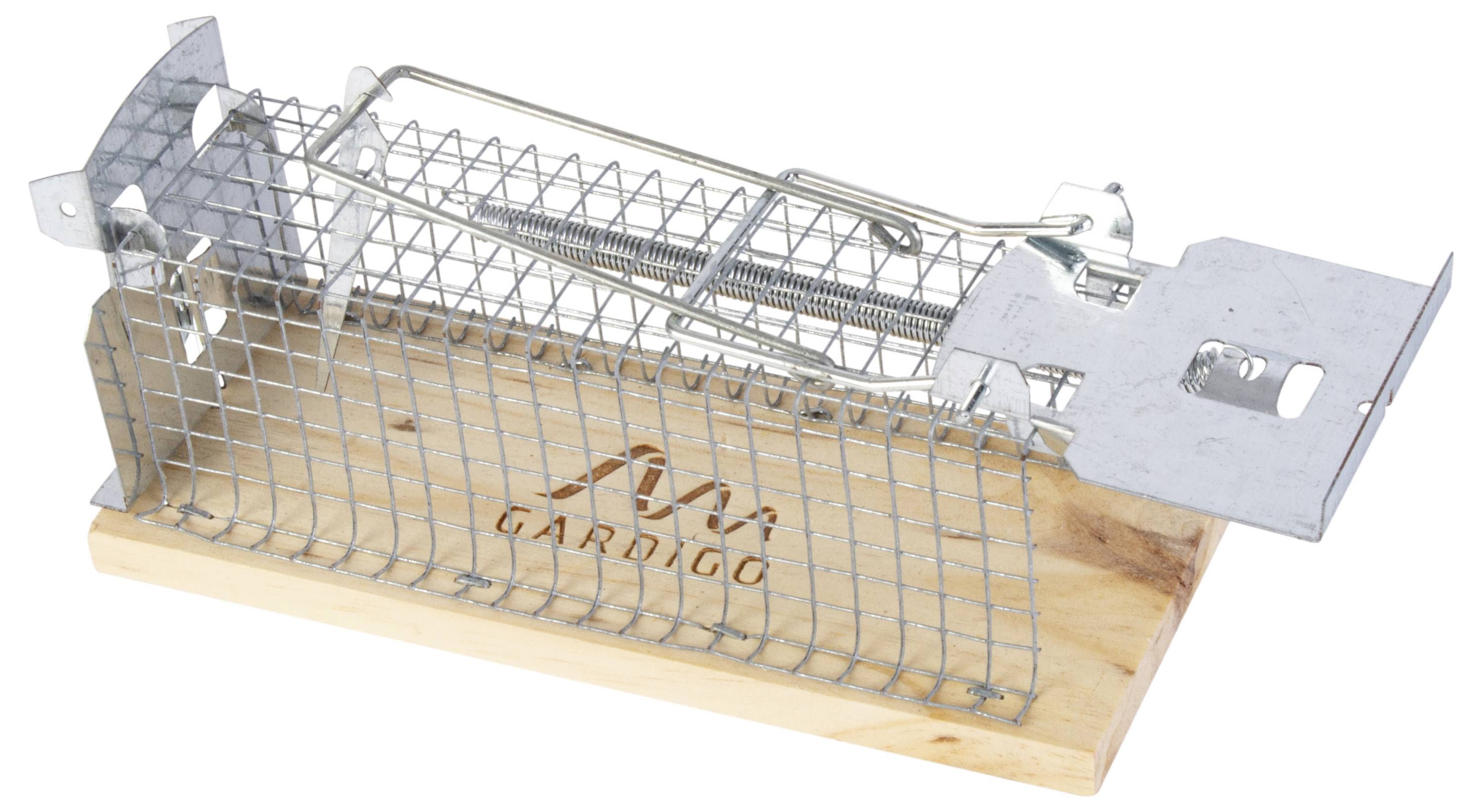 Un piège à cage grillagée avec socle en bois et grille métallique, utilisé pour capturer vivants de petits rongeurs ; inscription 'Gardigo' sur le bois.