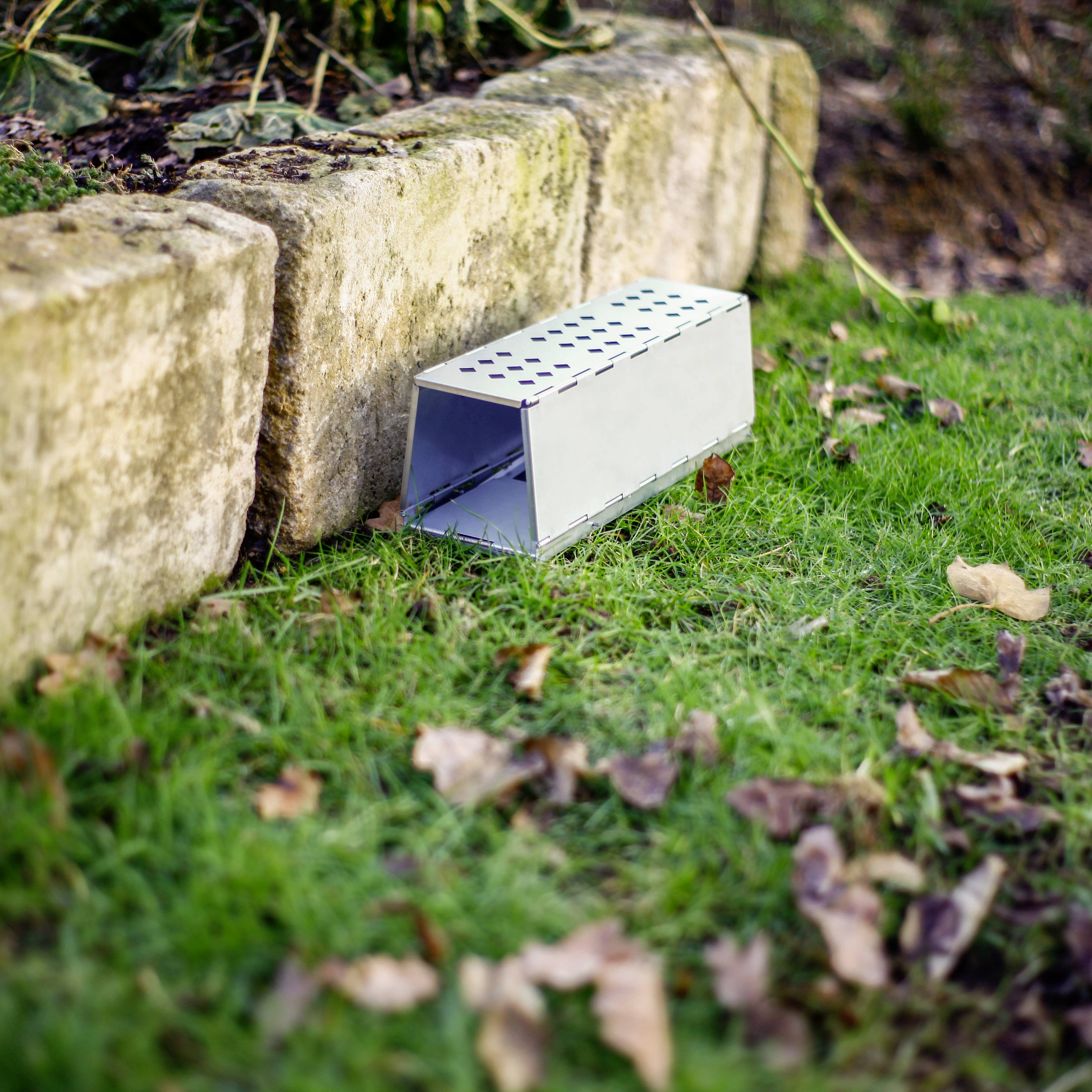 Un piège à souris en métal est posé sur une pelouse à côté d'un mur de pierre dans un jardin. Il est ouvert et prêt à être utilisé.