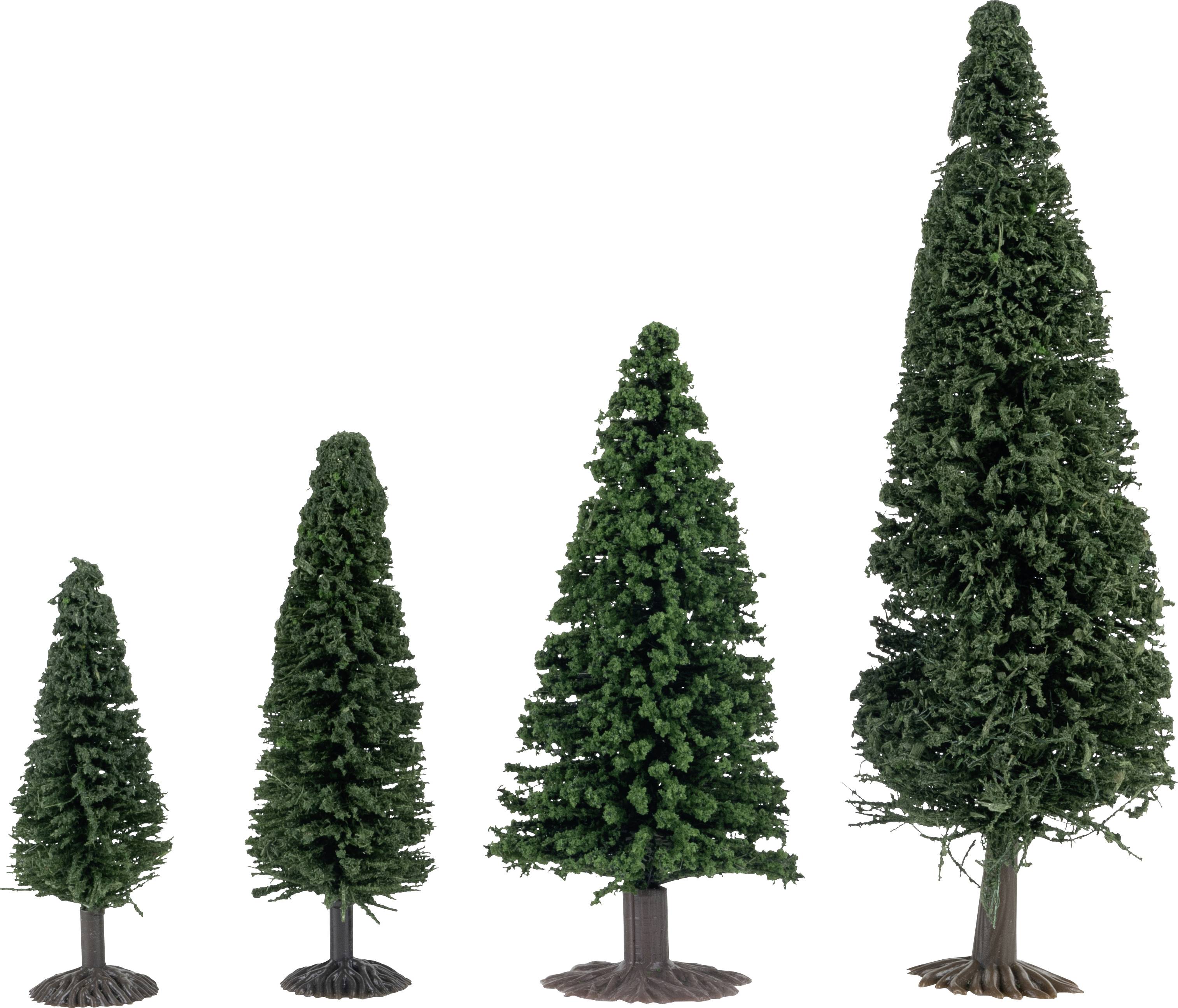 Quatre arbres modèles de différentes tailles sont alignés du plus petit au plus grand. Ils sont vert foncé avec des troncs bruns.