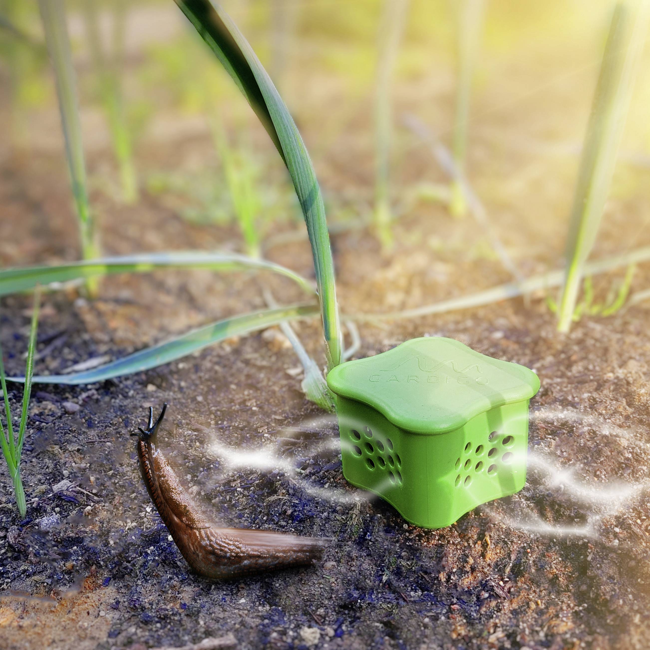 Un appareil vert est posé sur la terre à côté d'un escargot. Il s'agit probablement d'un dispositif de protection contre les escargots dans un jardin. Des herbes poussent en arrière-plan.