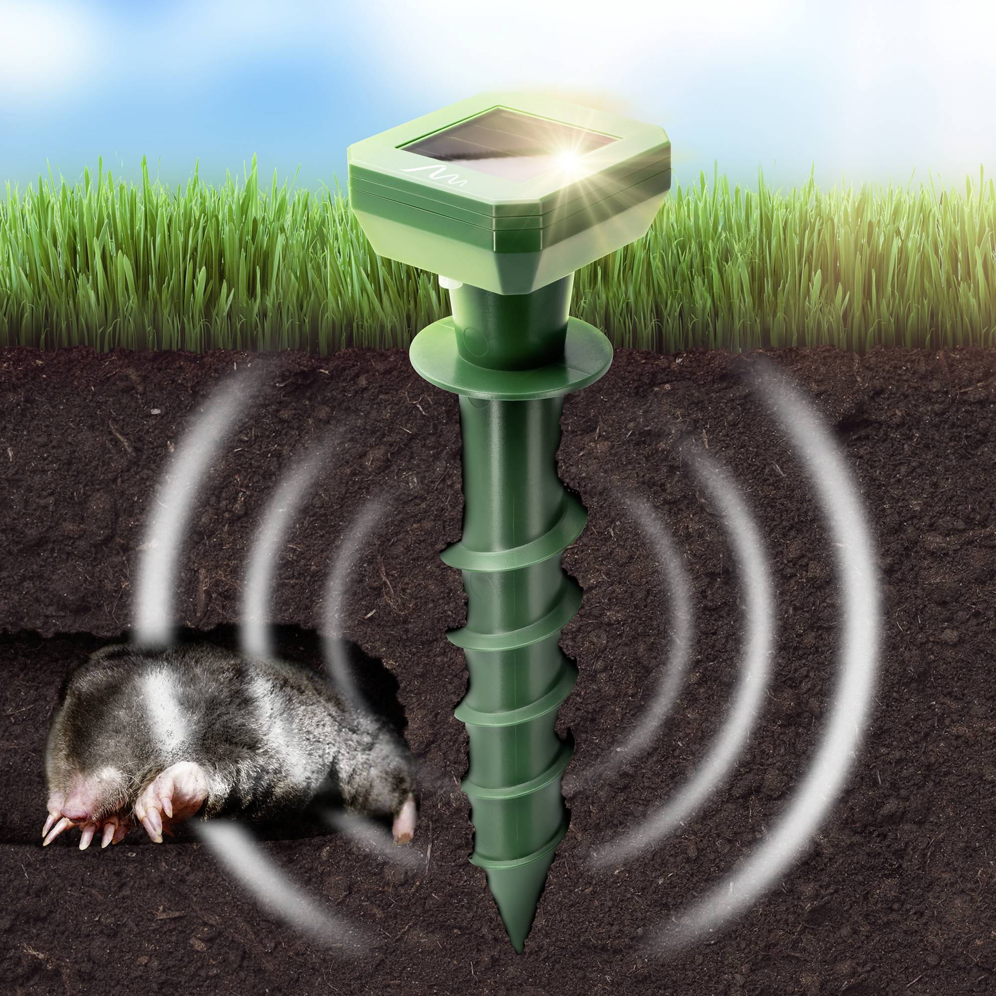 Une taupe dans le sol à côté d'un répulsif ultrasonique anti-nuisibles, entourée d'herbe. Le répulsif émet des vibrations.