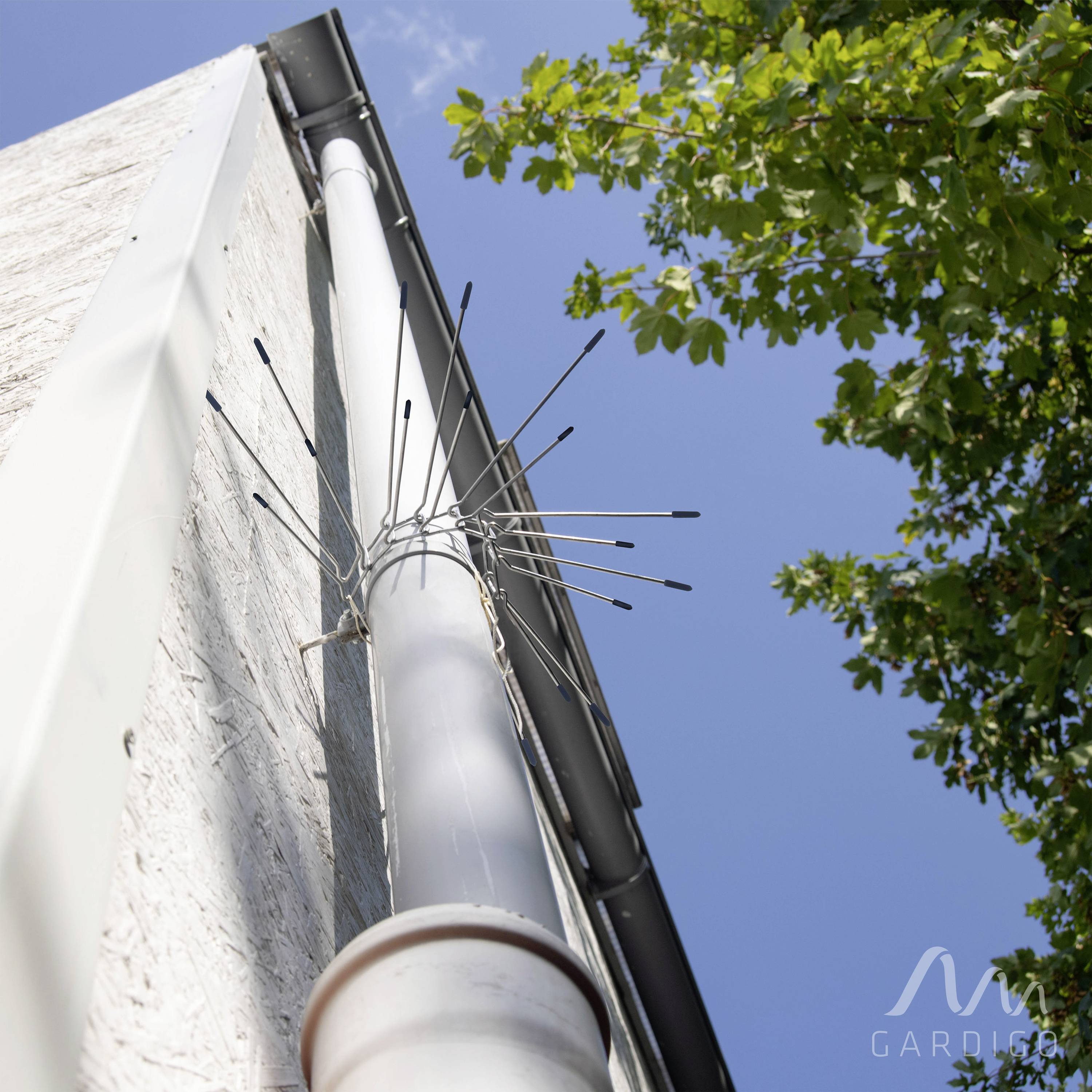 Une descente d'eau blanche avec des pics métalliques anti-pigeons sur un bâtiment. En haut à droite, on aperçoit des feuilles vertes d'un arbre.