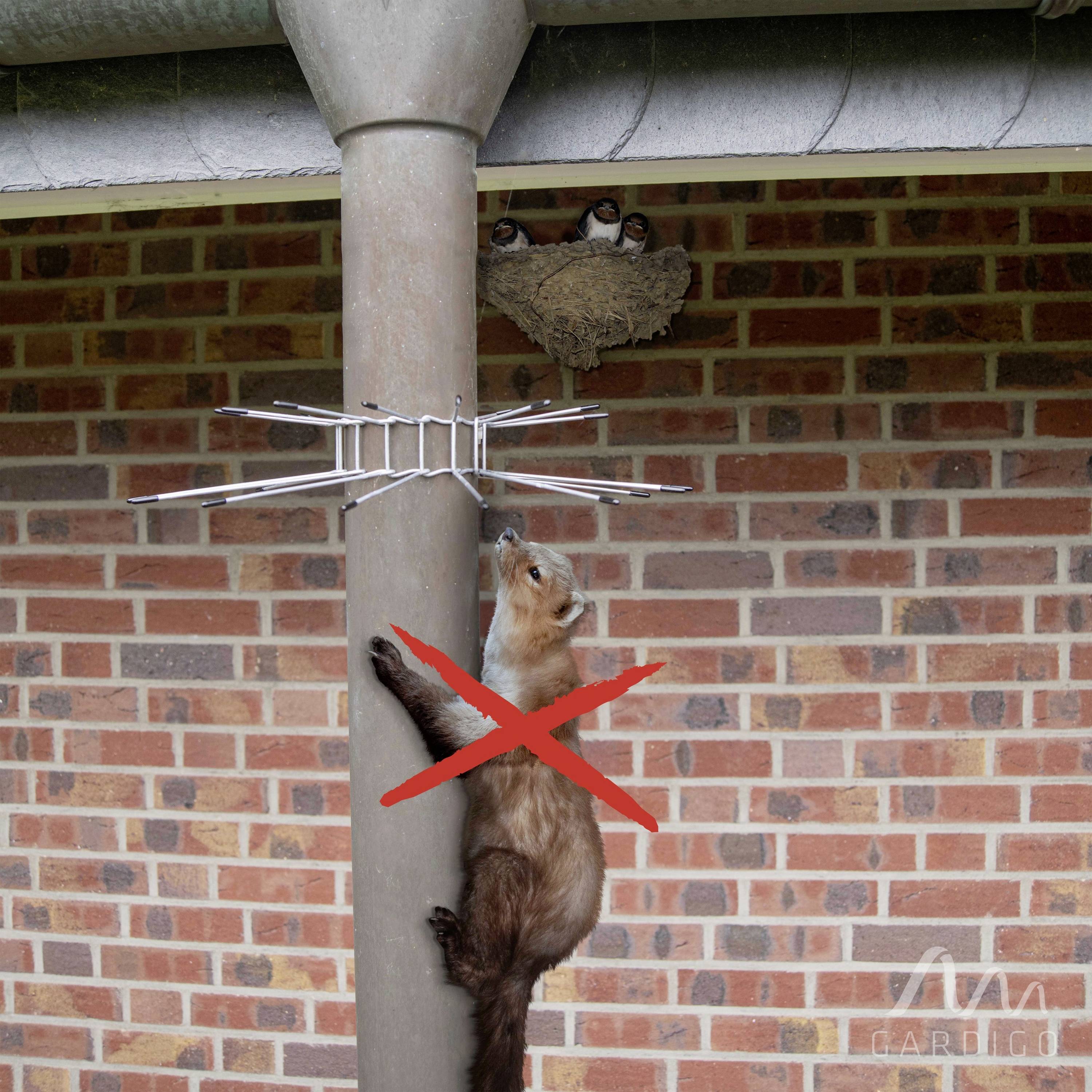 Un fouine est arrêté par une barrière métallique à un poste, tandis que deux oiseaux sont assis dans un nid au-dessus. Un 'X' rouge croisé couvre la fouine.