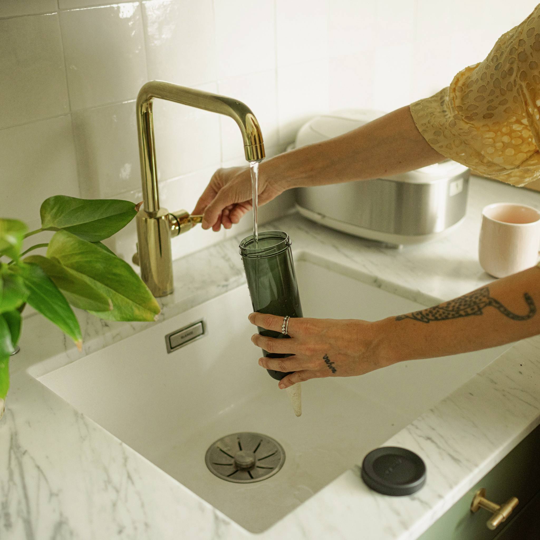 Une personne remplit un récipient d'eau à un évier de cuisine. Une plante en pot est visible à gauche, et une tasse à droite.