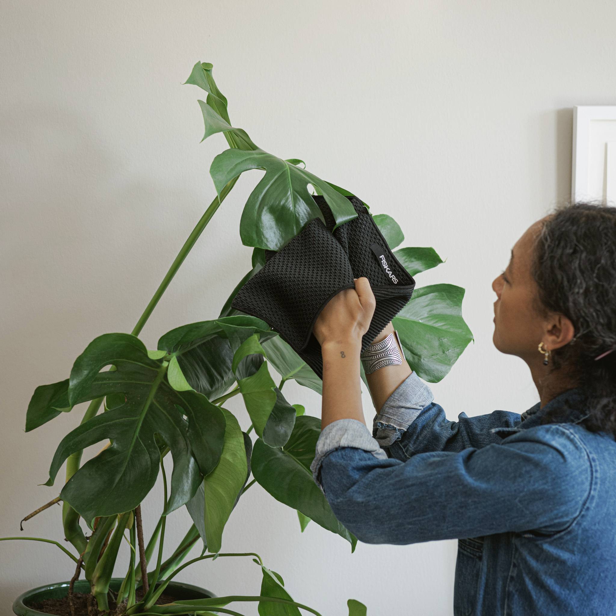 Une personne tient un sac à dos noir à la main, debout à côté d'une grande plante d'intérieur.
