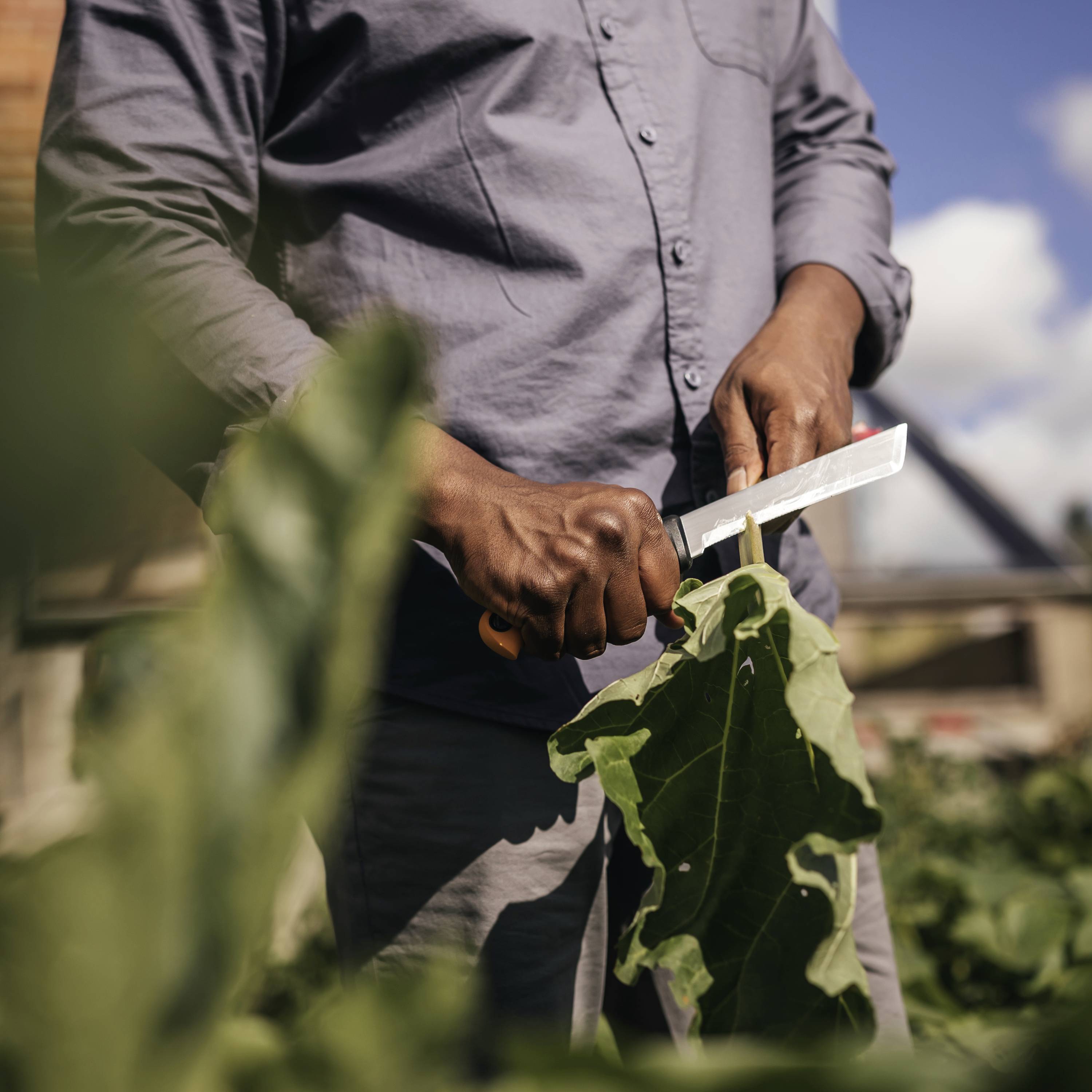 Fiskars 1062830 Couteau de jardinage