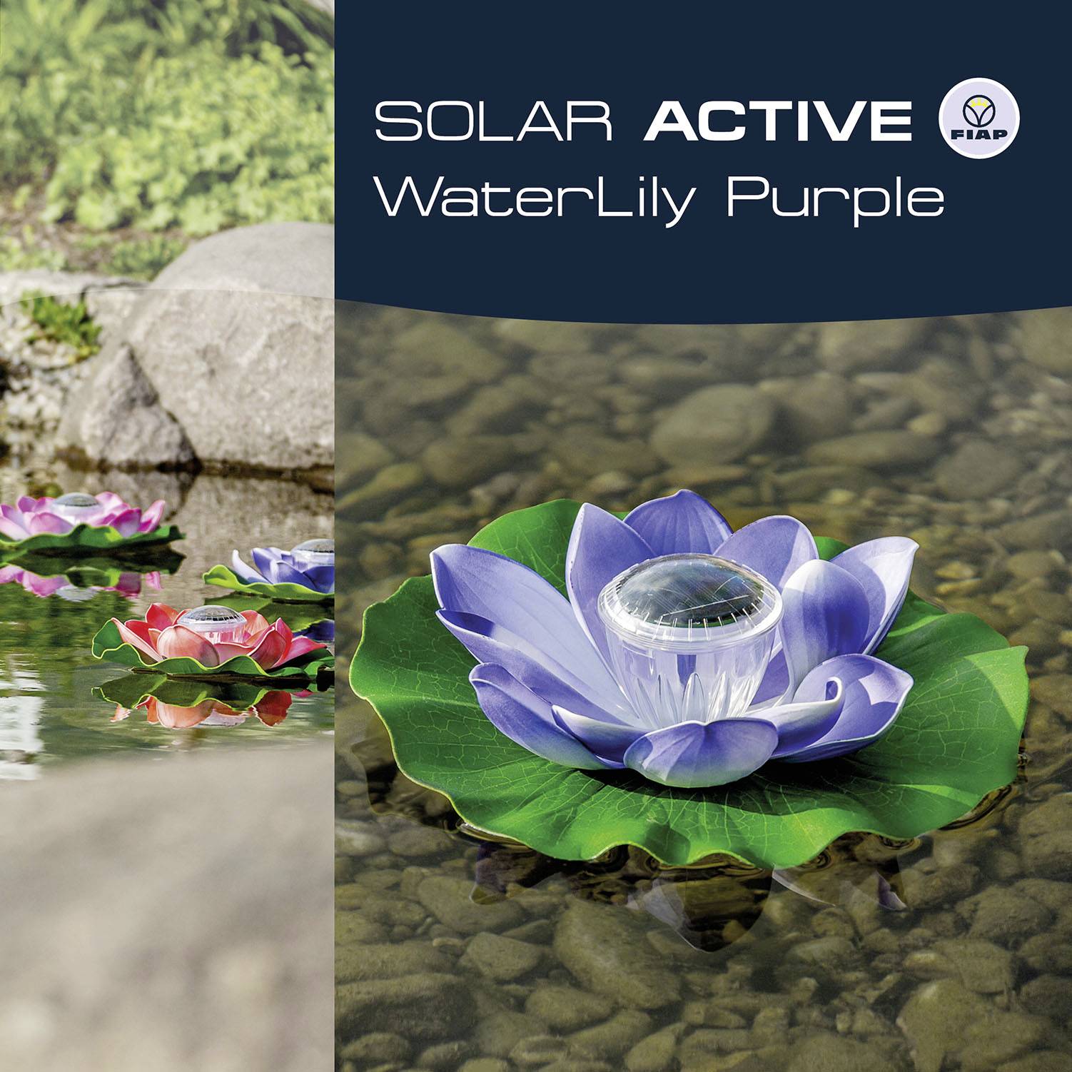 FIAP 3206-2 SOLAR ACTIVE WaterLily Purple Lampe décorative solaire LED LED intégrée violet
