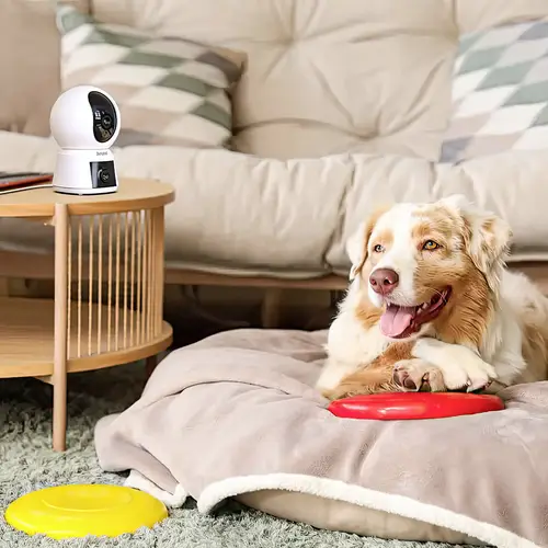 P3TT Arenti Wi-Fi IP Caméra de surveillance 2304 x 1296 pixels P3TT Arenti Wi-Fi IP Caméra de surveillance 2304 x 1296 pixels