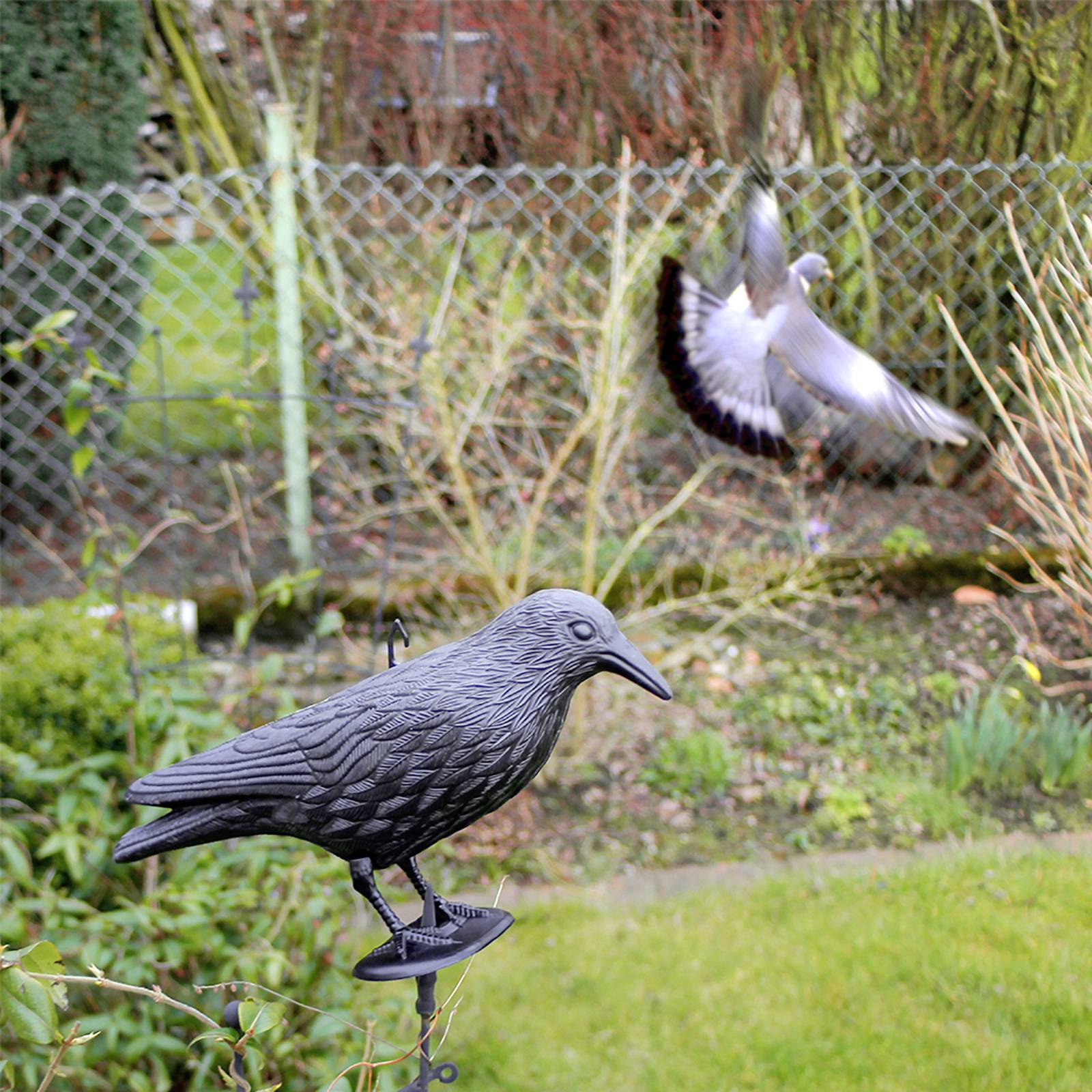 Corbeau anti-pigeons Gardigo Type de fonctions effet dissuasif 1 pc(s)