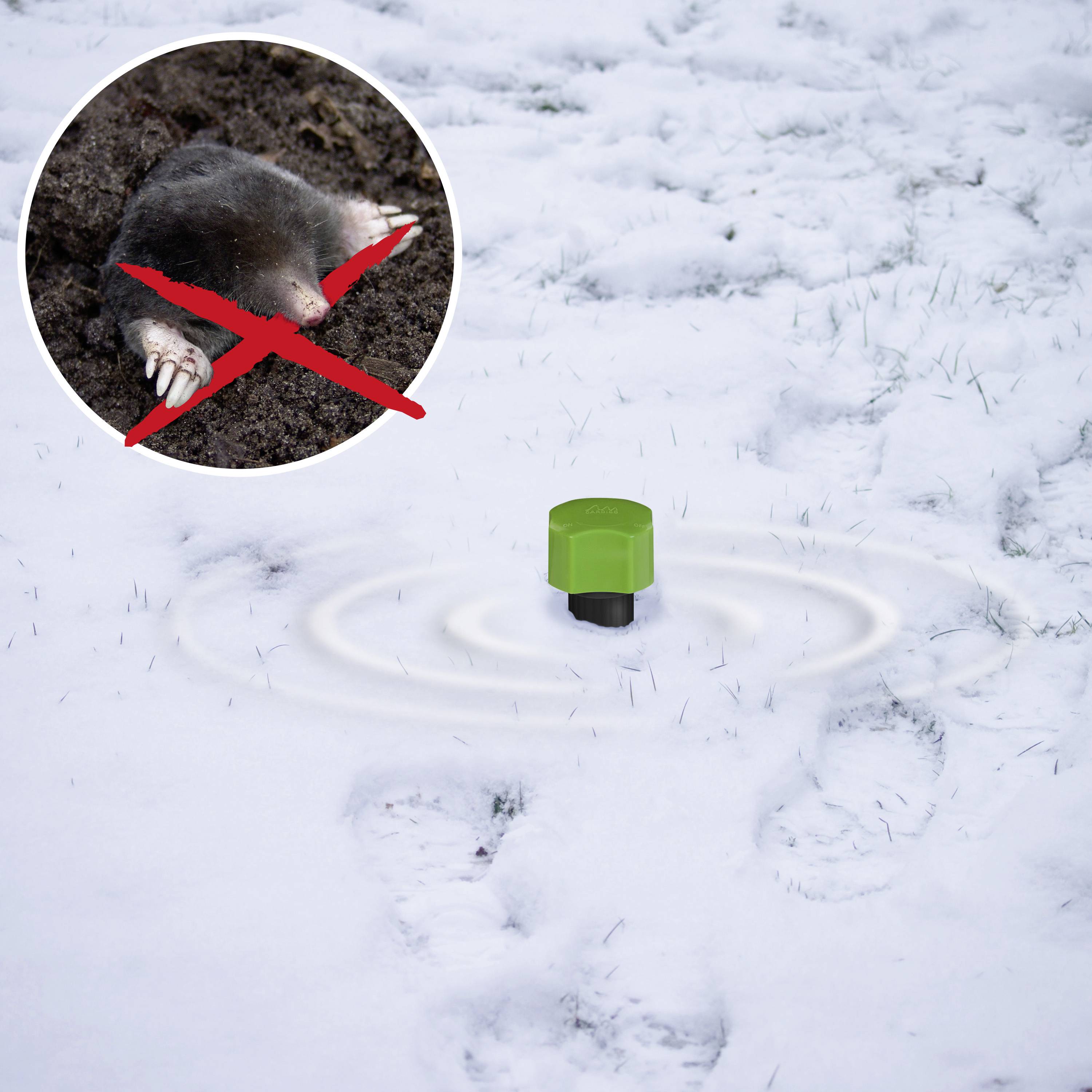 Répulseur de campagnols Gardigo 1 pc(s)