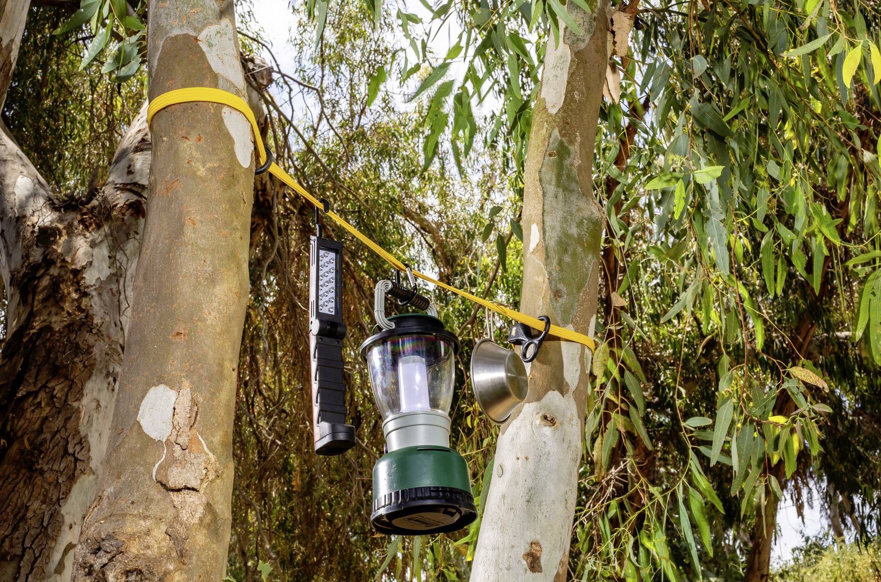 Une sangle jaune maintient une lampe de poche, une lanterne et une tasse en métal entre deux eucalyptus, suggérant un aménagement de camping dans une zone boisée.