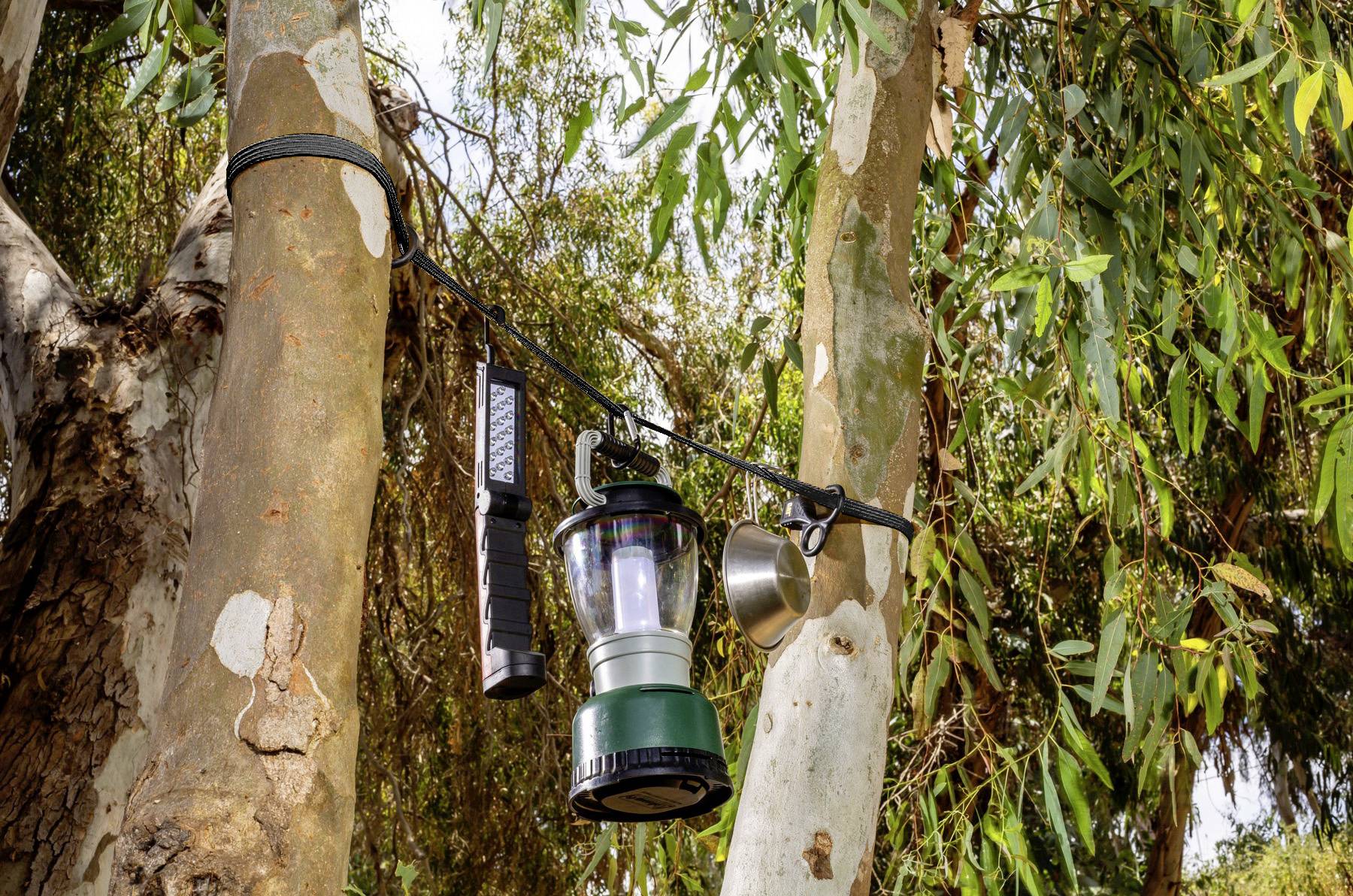 Une lanterne de camping, une lampe de poche et une tasse en métal sont suspendues à une branche d'arbre dans un décor forestier, suggérant un campement rustique en plein air.