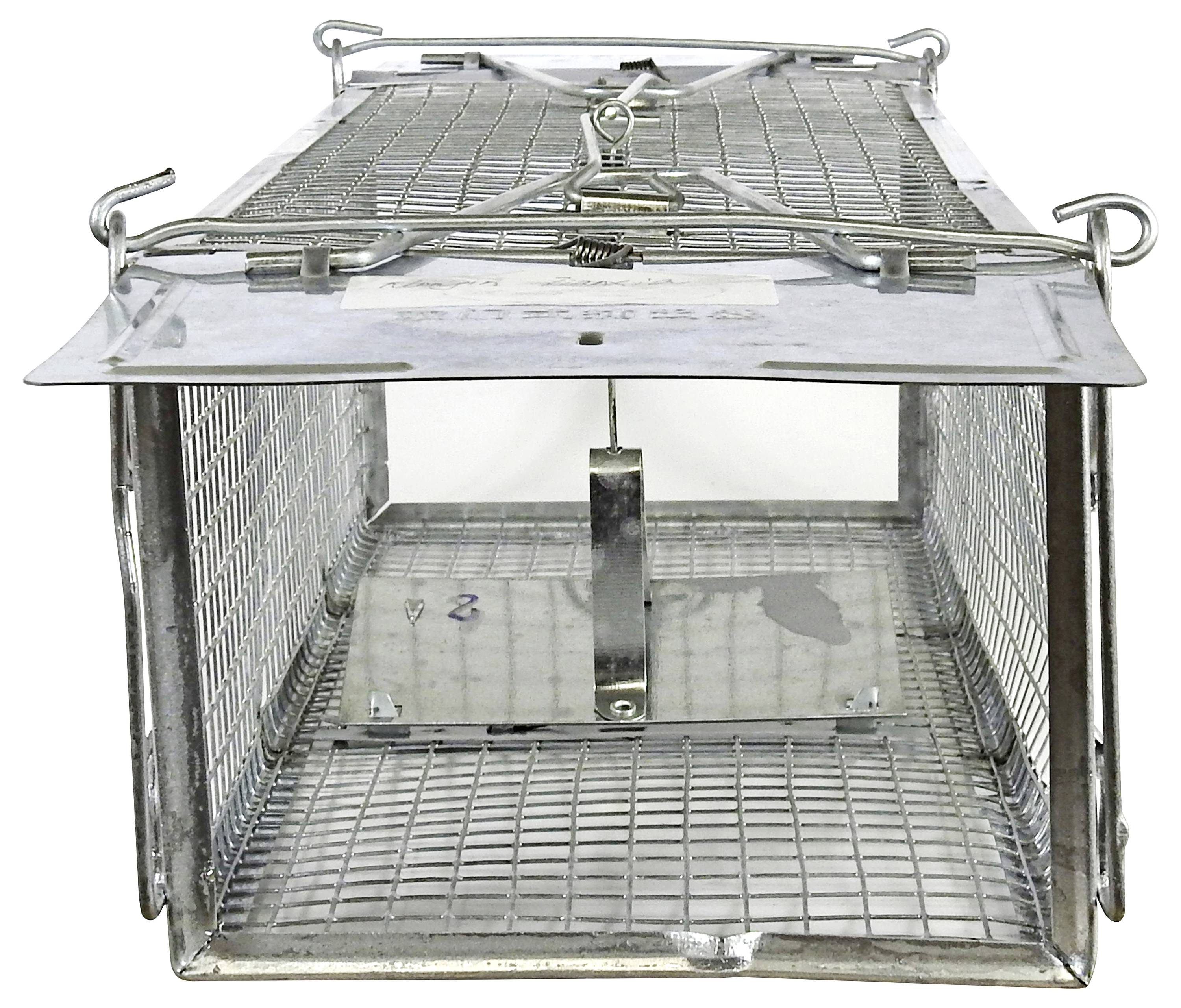 Piège à insectes Swissinno Maus- und Rattenkäfig Pro 1 pc(s)