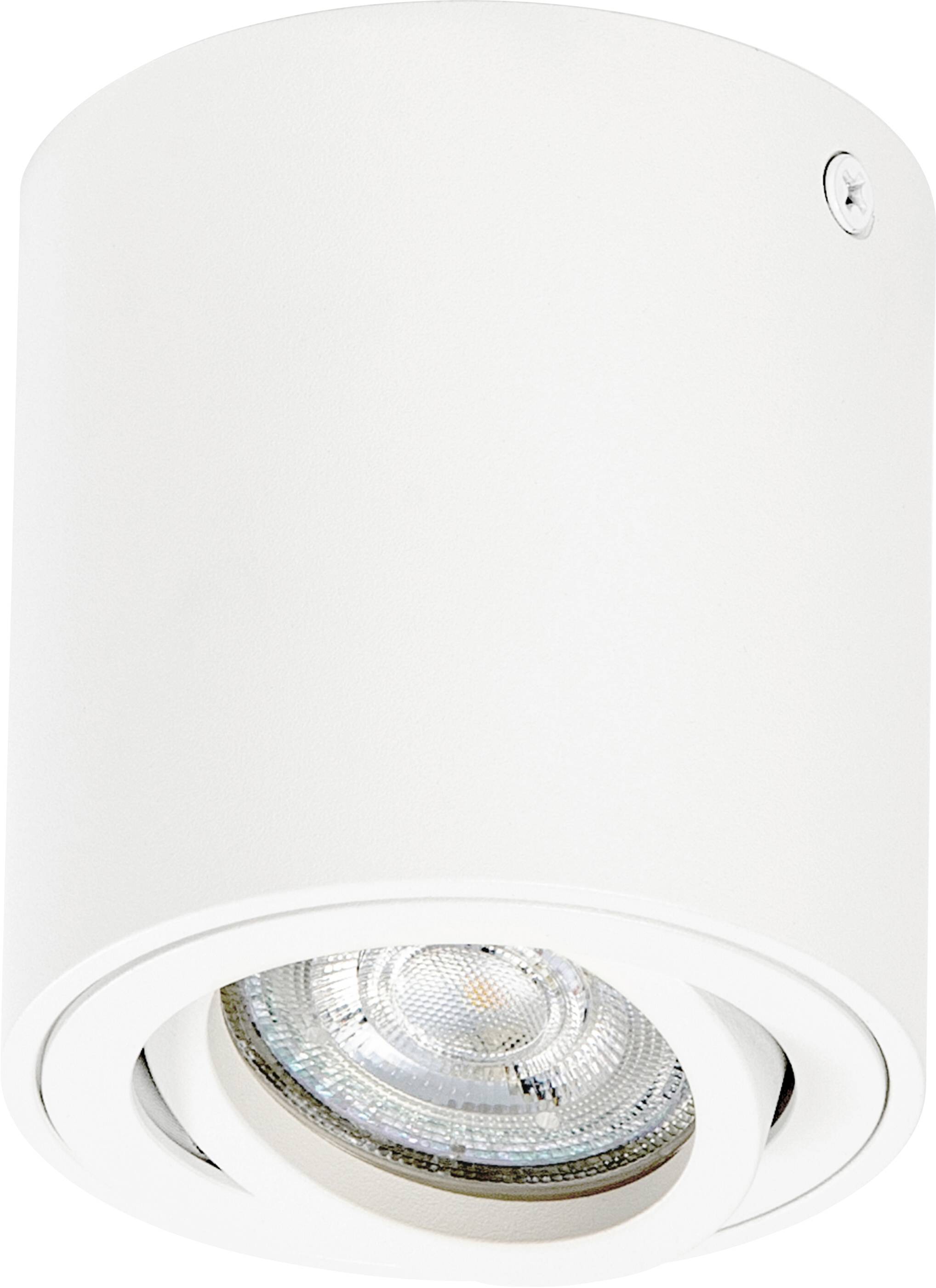 OSRAM HOMELIGHTING Spot Surface Round GU10 White 4099854446009 Applique LED extérieure GU10 blanc