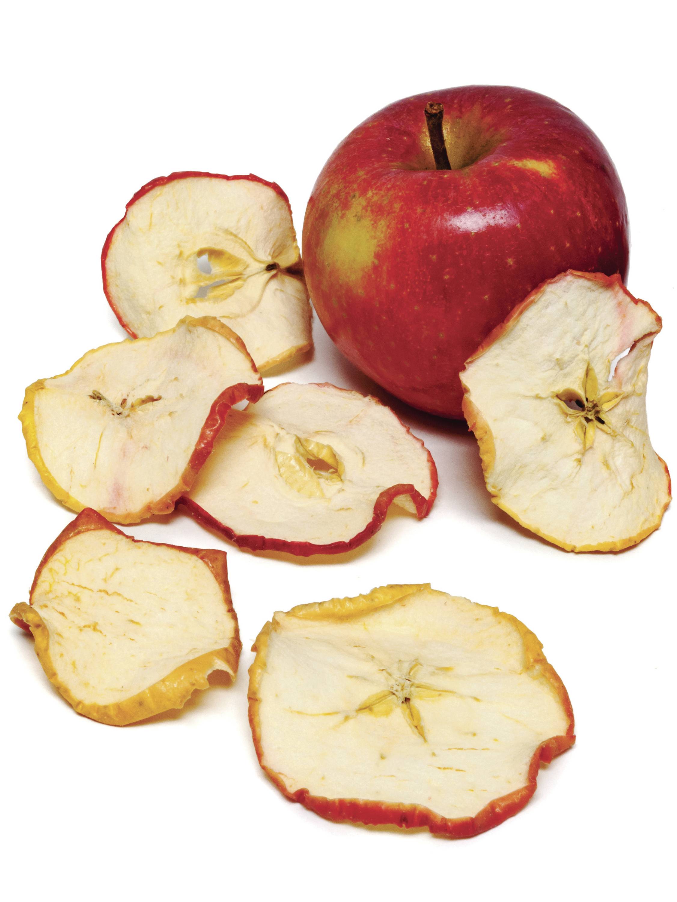 Silva Homeline DA 501 INOX 427002 Déshydrateur blanc, inox