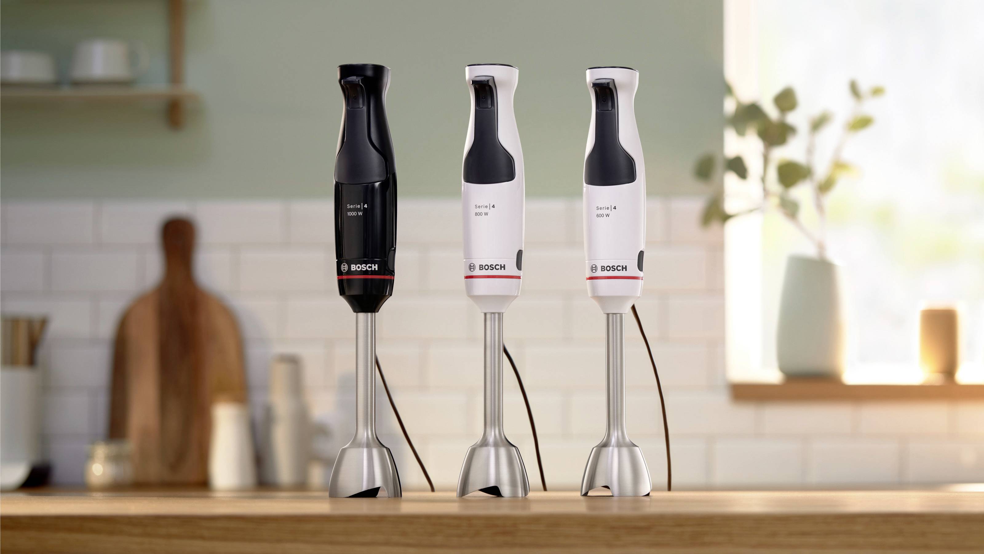 Bosch ErgoMaster Serie 4 Mixeur plongeant noir