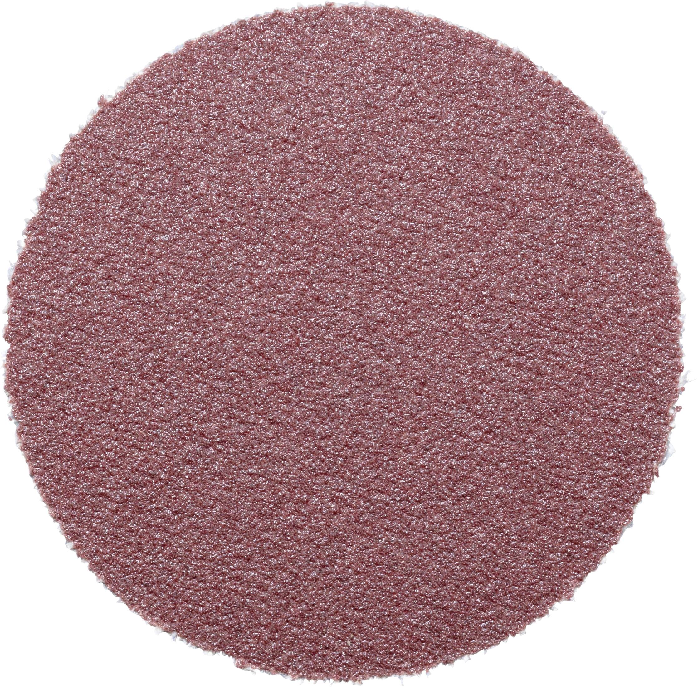 LUKAS-ERZETT PSH 030 NK 240 A3300030240 Feuille abrasive Grain 240 (Ø) 30 mm 100 pc(s)