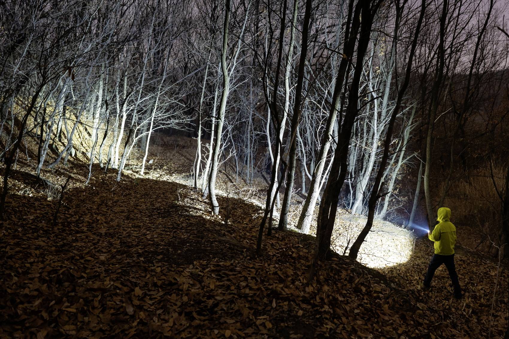 OLight LED Mini lampe de poche grande portée à batterie 55 g