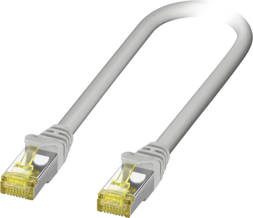 Un câble Ethernet gris avec des connecteurs RJ45 aux deux extrémités.