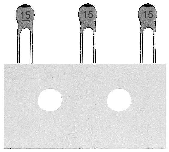 RICHWELL Condensateur céramique 100 pc(s)
