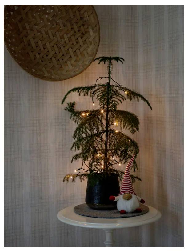 Un petit pin en pot avec des lumières est posé sur une table ronde blanche. Un gnome décoratif portant un chapeau rouge est placé à côté. Un panier tressé est accroché au mur au-dessus.