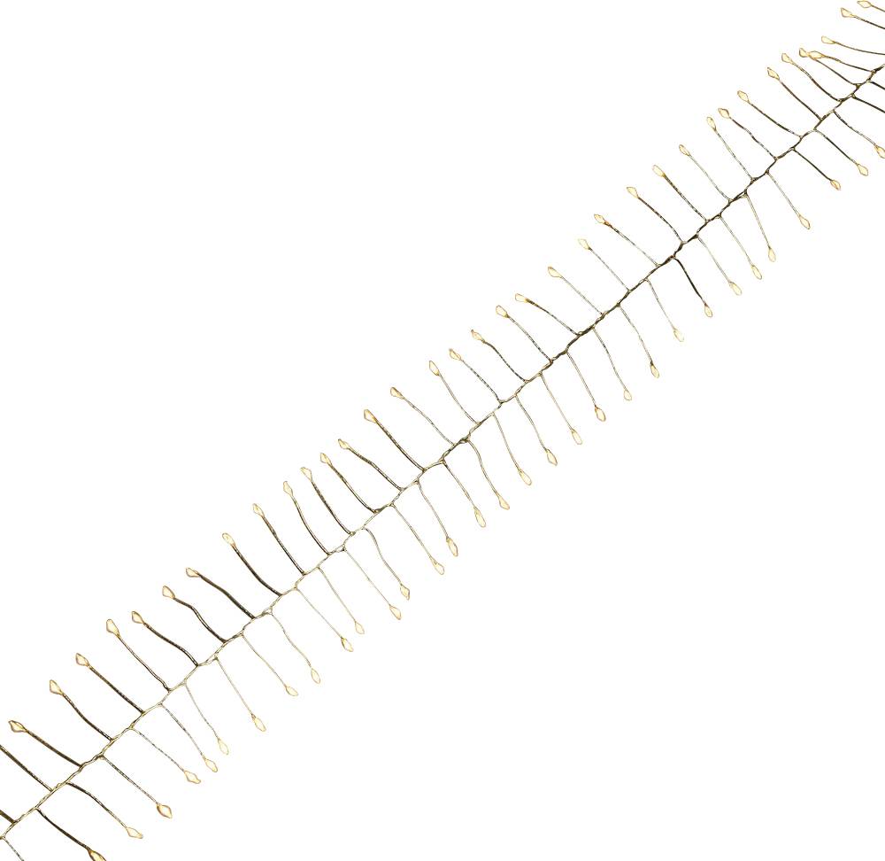 Une branche avec de petites bourgeons dorés disposés de manière symétrique et alternée, s'étendant diagonalement du bas gauche vers le haut droit.