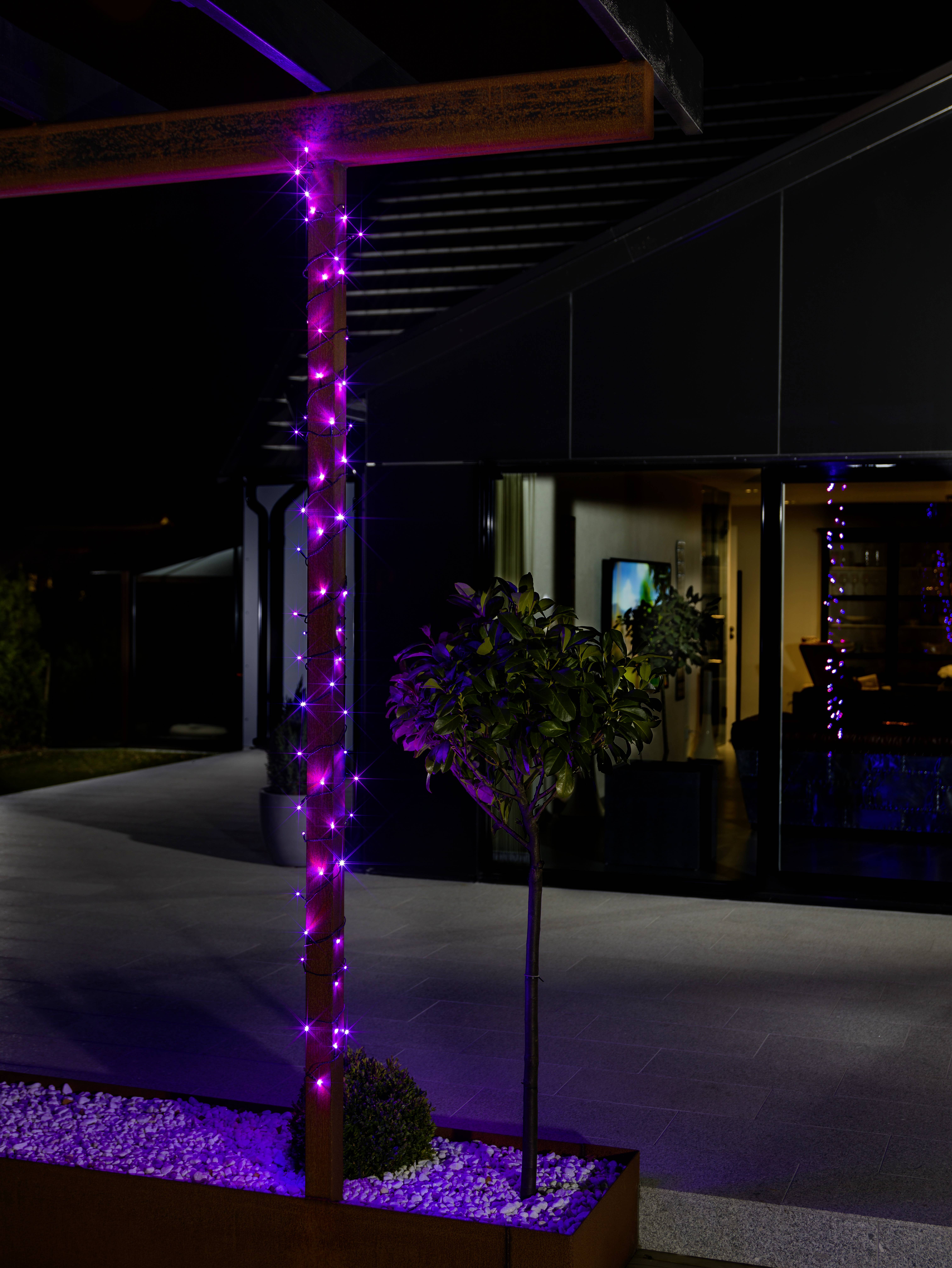 Un petit arbre et un poteau en bois ornés de lumières de fées violettes, illuminés la nuit, se dressent près d'un bâtiment moderne aux grandes fenêtres de verre.