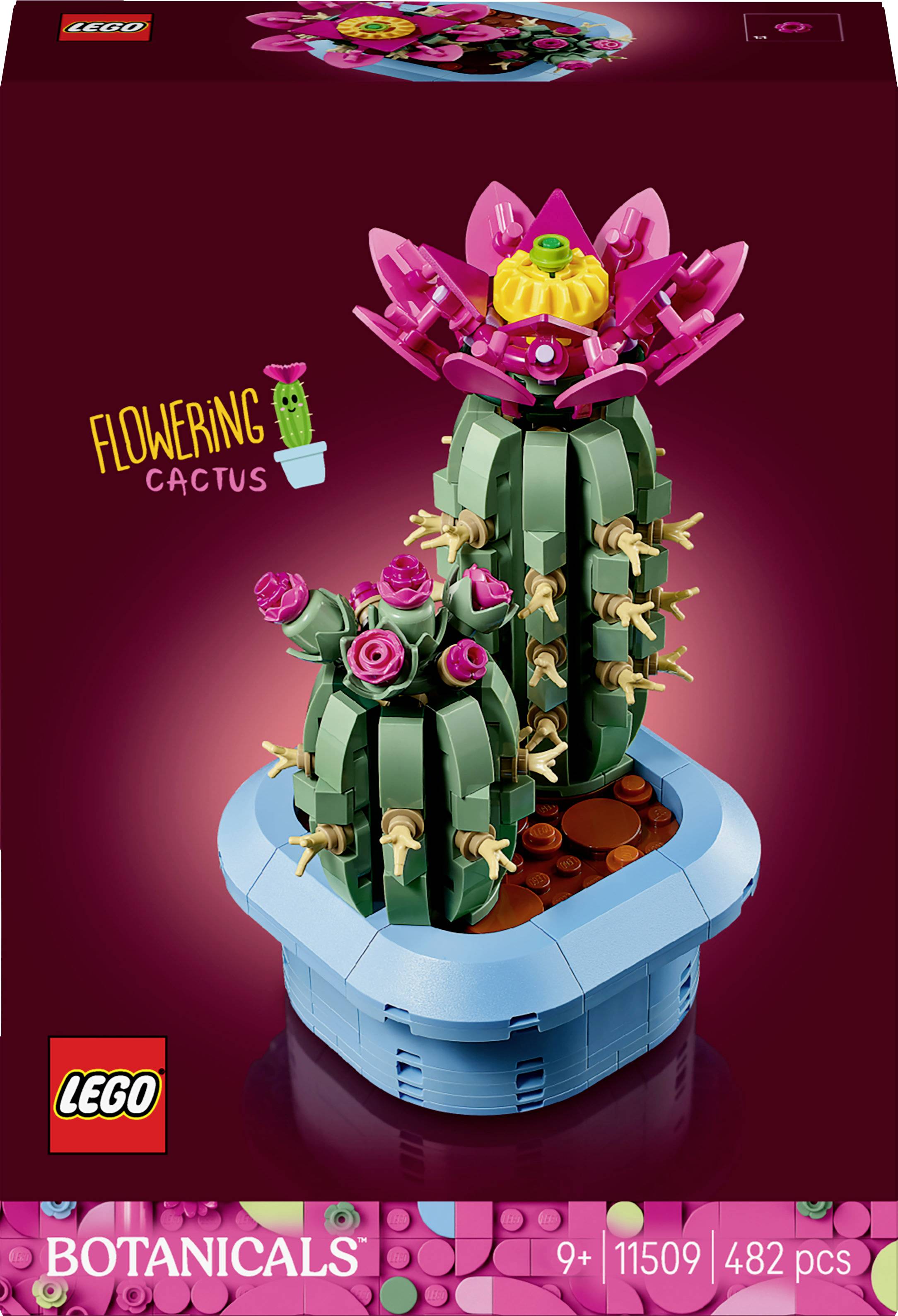 Un ensemble LEGO représentant un 'Cactus Fleuri' de la série Botanicals, numéro de set 11509, comprenant 482 pièces, recommandé pour les enfants de 9 ans et plus.