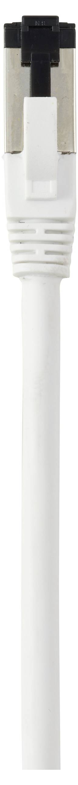 L'image montre un gros plan d'un câble Ethernet blanc avec un connecteur métallique.