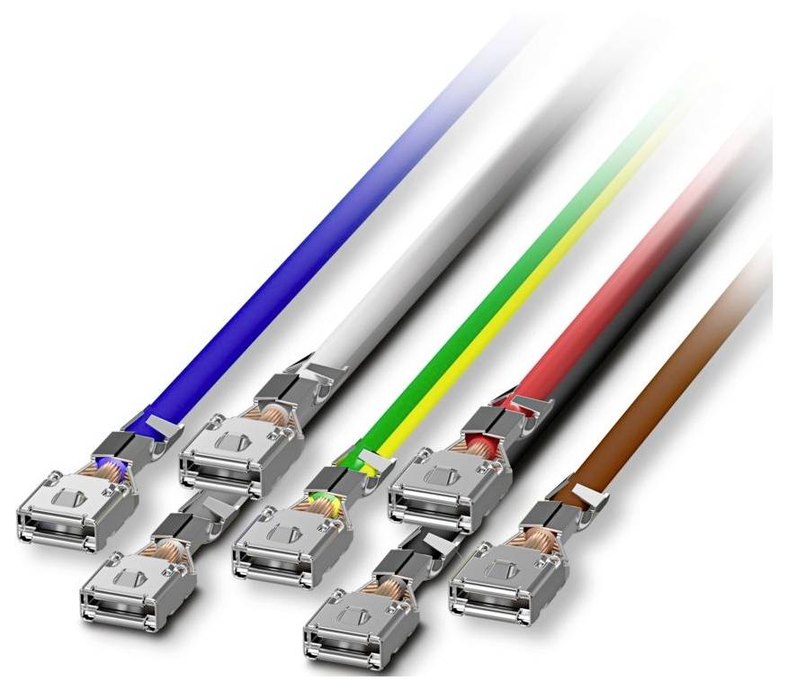 Multicolored network cables with connectors on white background arranged in a fan shape, suggesting data connectivity and networking.