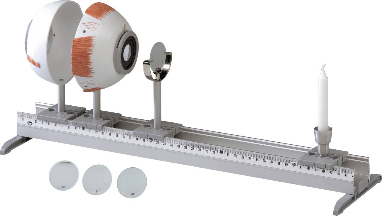 Un banc optique composé d'un œil artificiel, de lentilles, d'un miroir et d'une bougie allumée, utilisé pour l'étude des principes de réflexion et de réfraction de la lumière.