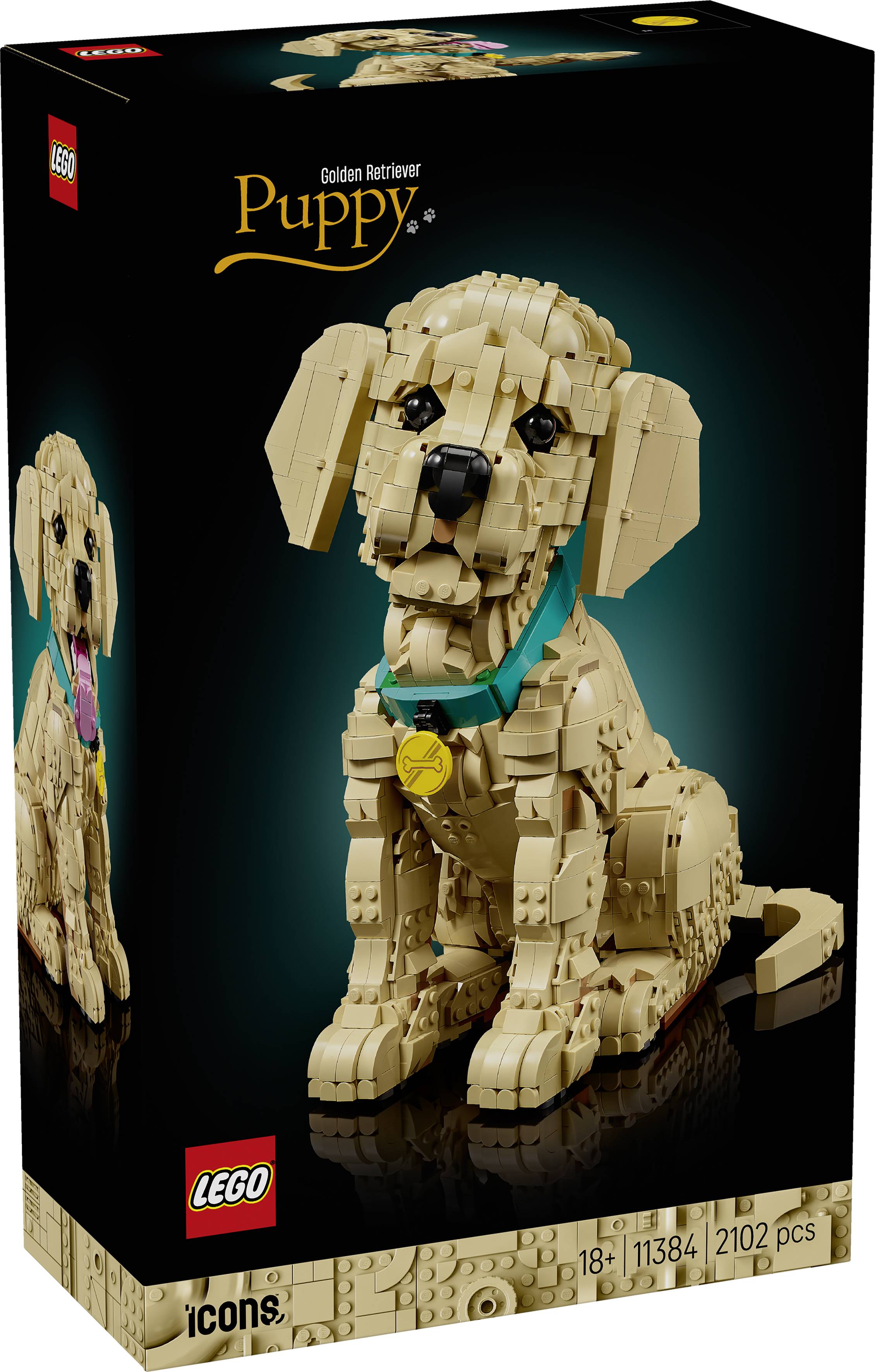 Boîte « Lego Icons Golden Retriever Puppy » présentant un modèle détaillé d'un chiot couleur fauve avec un collier bleu-vert, destinée aux âges 18 ans et plus, 2102 pièces.