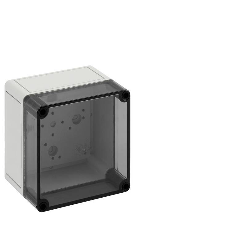 Petit boîtier électrique carré avec un couvercle avant transparent foncé et quatre vis d'angle, montré isolé sur un fond blanc.
