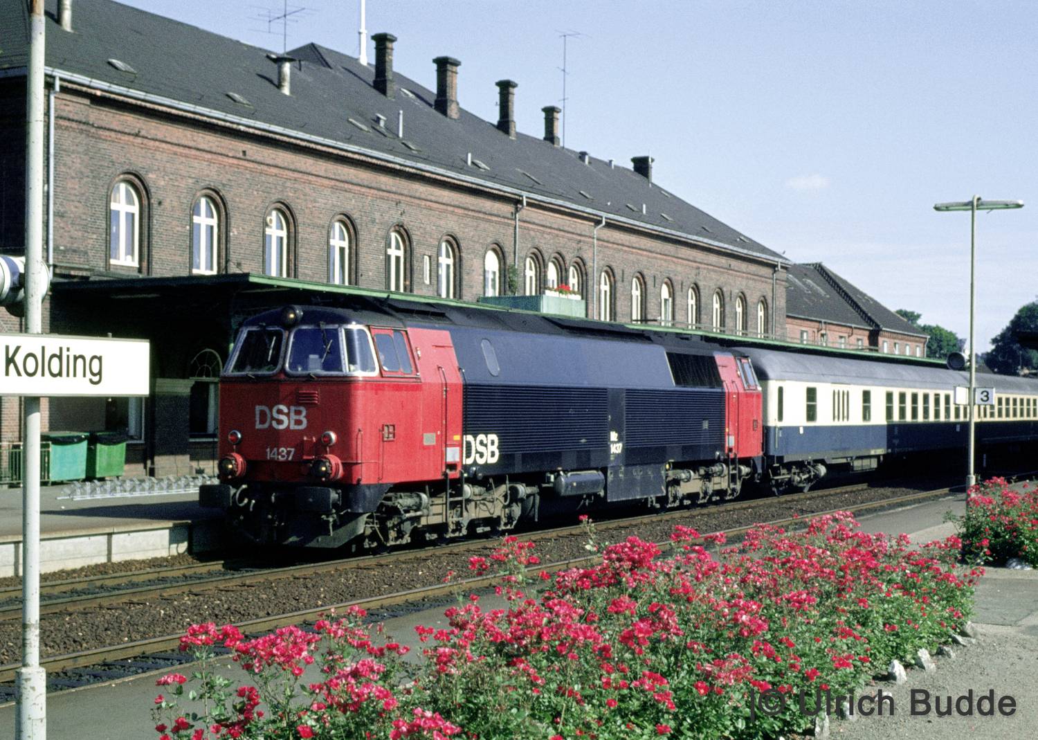 Un train rouge et bleu avec « DSB » sur le côté est à quai dans une gare, avec un bâtiment en brique rouge et des fleurs rouges en fleur au premier plan.