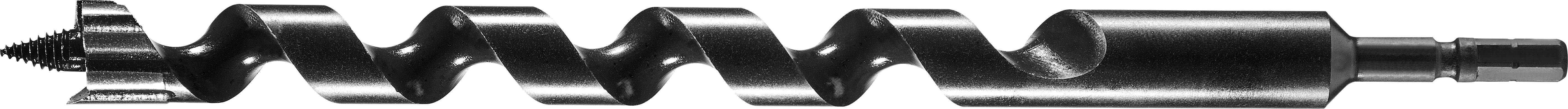 Ein Nahaufnahmebild eines dunkelgefärbten Schneckenbohrers mit seiner spiralförmigen Form, scharfer Spitze und zylindrischem Schaft auf der rechten Seite.