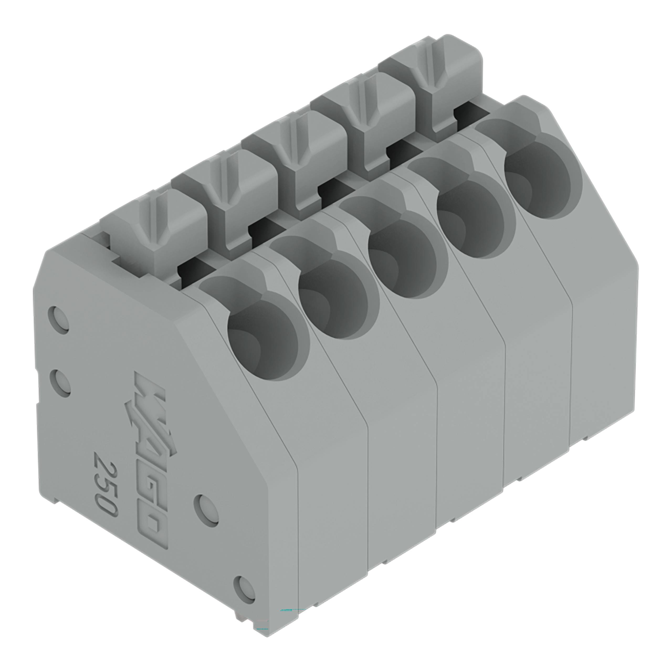 WAGO 250 grauer Klemmenblock mit fünf Anschlüssen, verwendet für Elektroinstallationen.