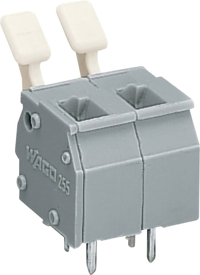 Une image en gros plan d'un bloc de bornes électriques gris à 2 pôles avec deux leviers. Le bloc dispose de broches métalliques pour les connexions de circuits.