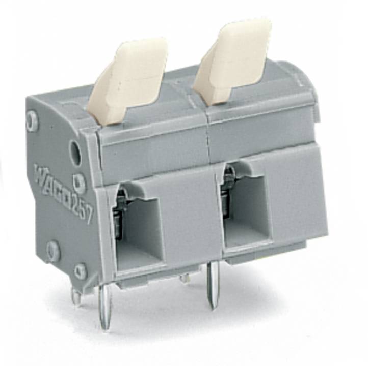 Ein graues zweipoliges Klemmleistenblock mit zwei weißen Hebeln und vier Stiften, verwendet zum Verbinden von elektrischen Drähten, mit 
