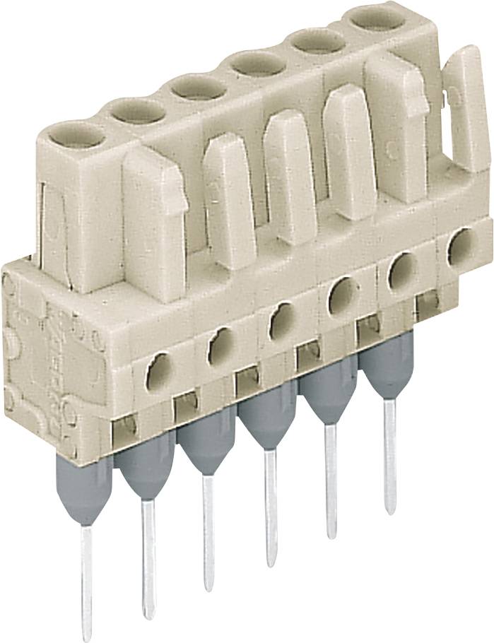Un bloc de bornes électriques beige avec six broches argentées, utilisé pour connecter des fils dans des circuits électriques.