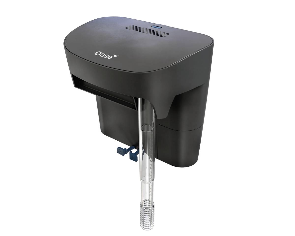 Black Oase aquarium filter or pump unit shown on a white background, with intake tube and blue adjustment clips.