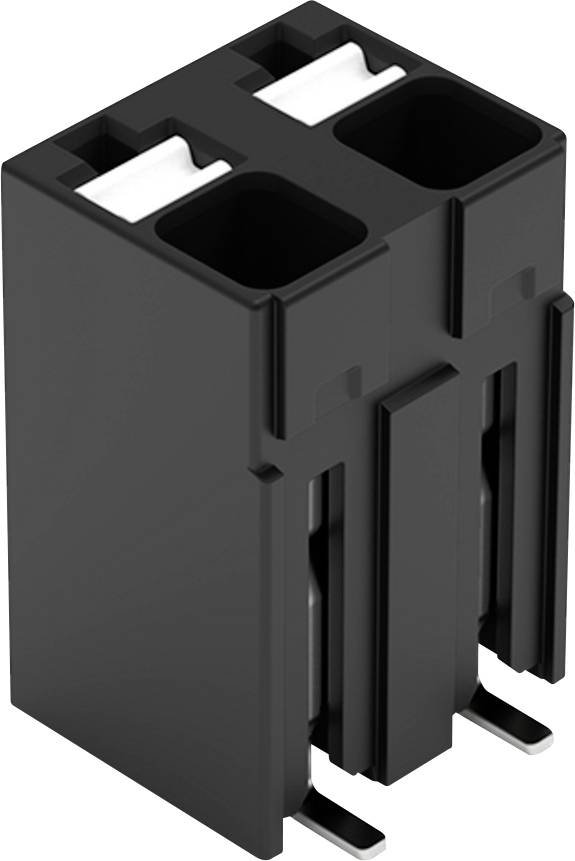 Bloc de bornes électriques deux pôles noir isolé sur un fond blanc, présentant deux fentes rectangulaires pour les connexions de fils.