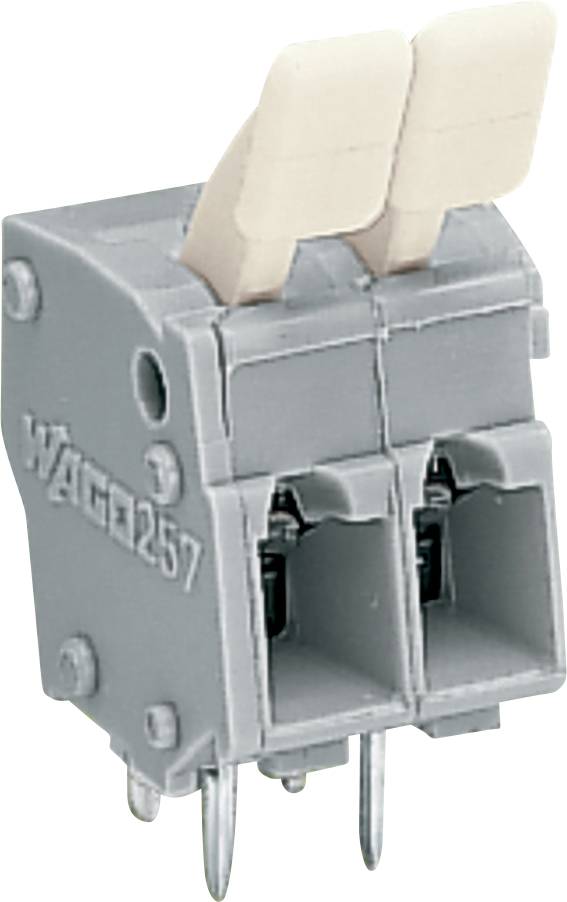 Un bloc de bornes série WAGO 257 gris avec deux emplacements et broches métalliques, utilisé pour sécuriser et connecter des fils électriques.