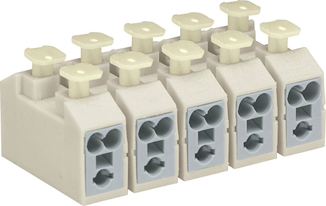 Un bloc de bornes électriques beige et bleu avec cinq bornes à vis, utilisé pour connecter des fils.