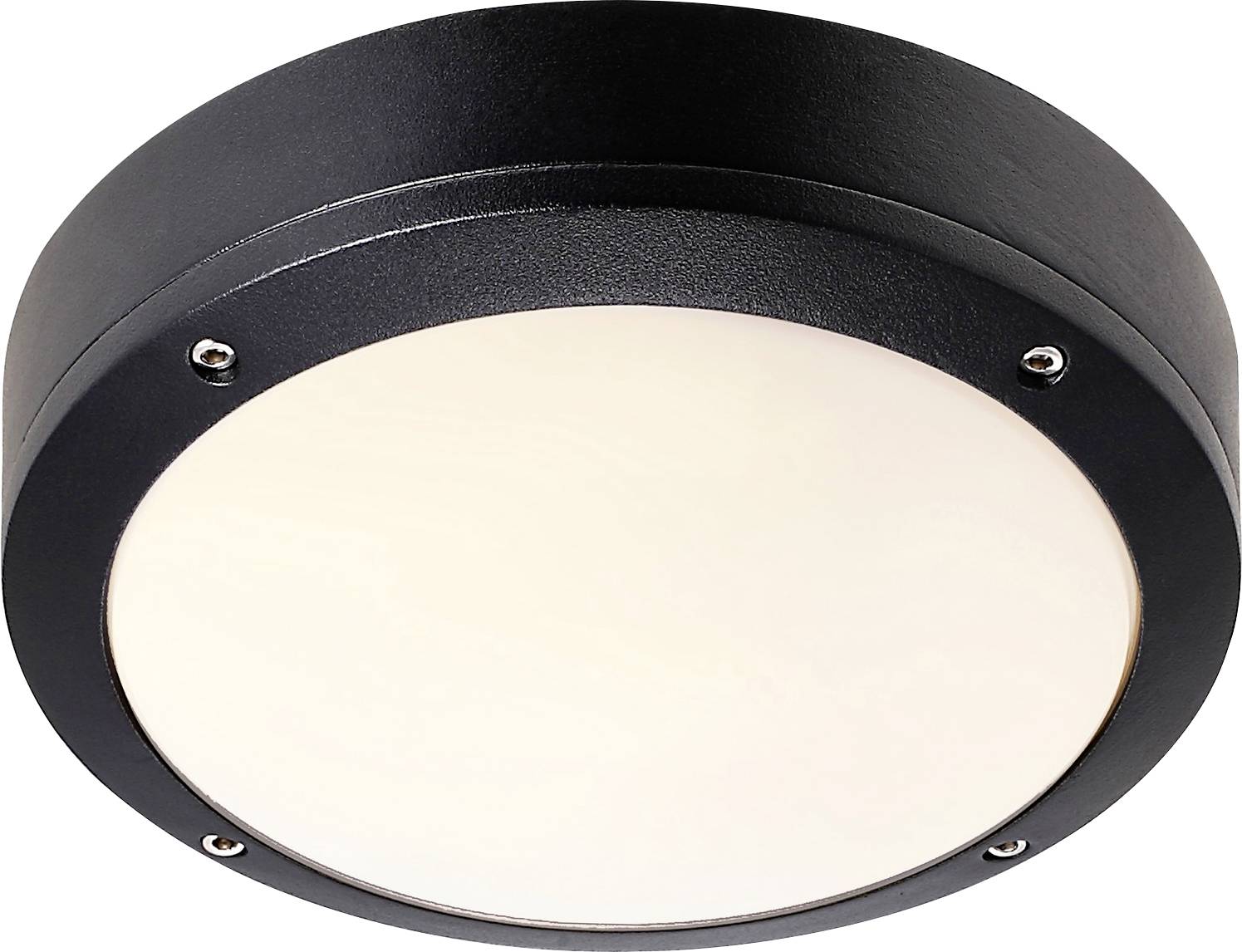 Un luminaire de plafond rond avec cadre noir et diffuseur en verre dépoli, fixé par quatre vis, conçu pour une utilisation intérieure ou extérieure.
