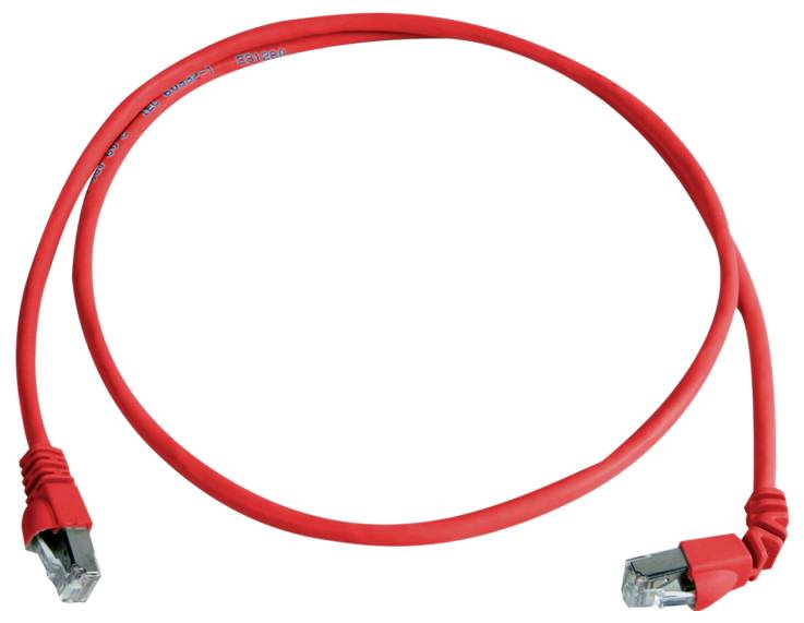 Câble Ethernet rouge avec deux connecteurs RJ45 sur un fond blanc.