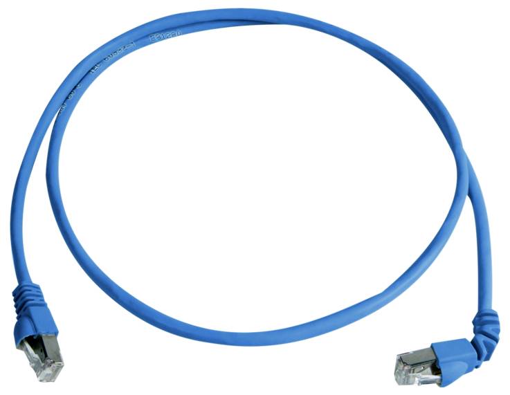 Blue Ethernet network cable with RJ45 connectors on both ends, coiled against a white background.