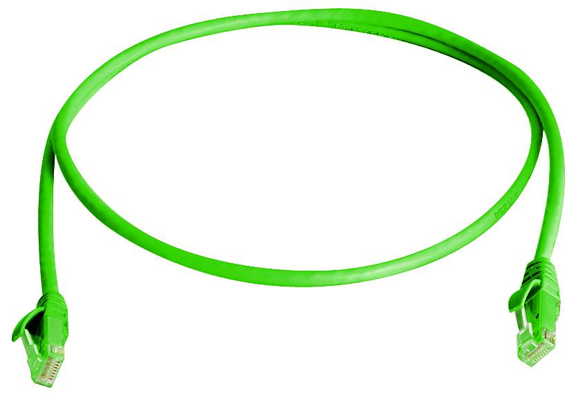 Câble Ethernet vert avec des connecteurs RJ45 aux deux extrémités, enroulé en boucle sur un fond blanc.