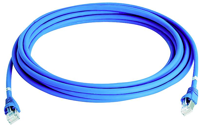 Câble Ethernet bleu avec connecteurs RJ45 aux deux extrémités, enroulé sur un fond blanc.