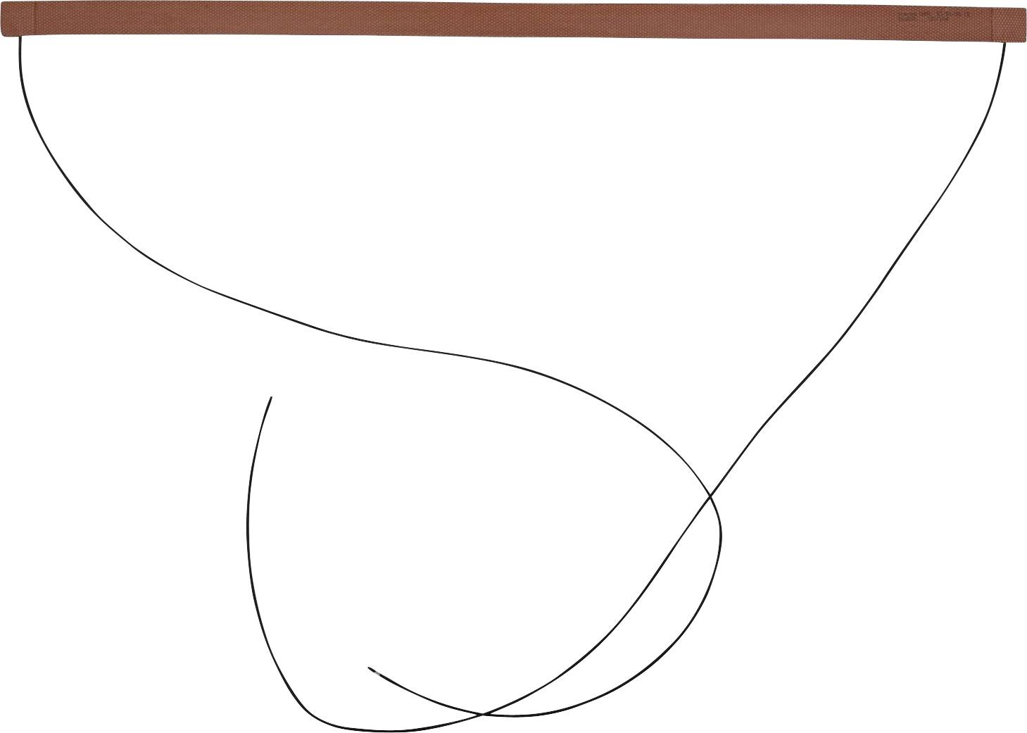 Fouet avec manche en bois, boucle triangulaire large et deux fils libres pendants en dessous.